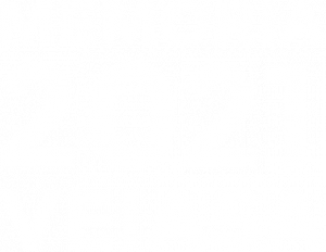 VEIASA Logo